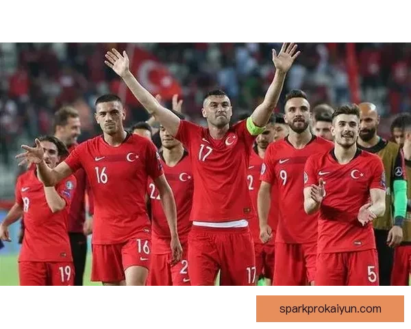 土耳其足球队力争进军明年欧洲杯，预选赛表现亮眼
